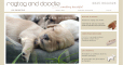 Go to the Ragtag and Doodle website